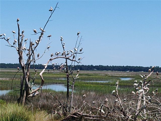 227 Jake Colton Drive, Kingsland, GA 31548