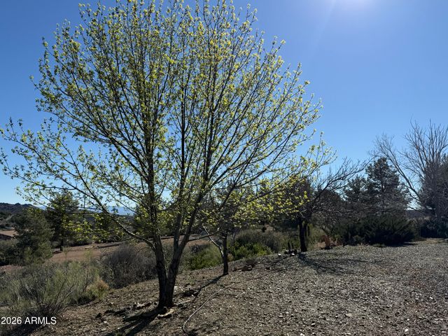 13180 E EVERGREEN Trail, Mayer, AZ 86333