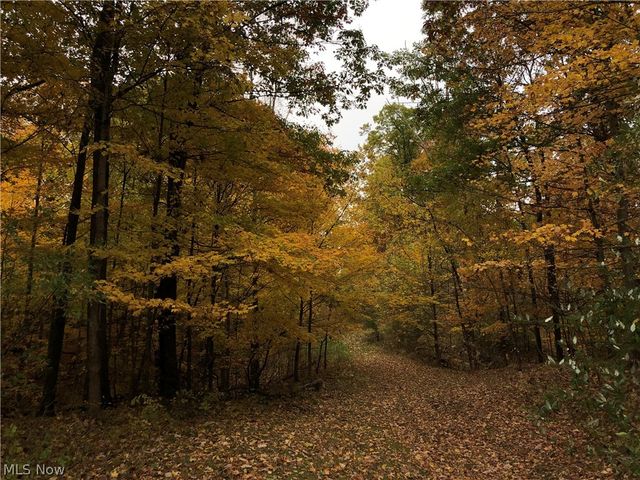 3832 Sharon Copley Road, Medina, OH 44256