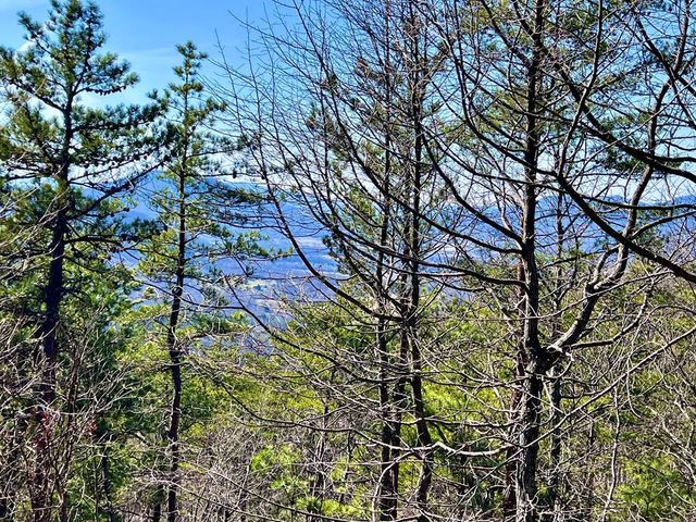 1-A,2-A,3- Ravens Den Way, Sevierville, TN 37862