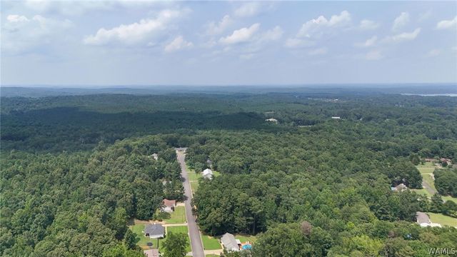 12699 Wood Estates, Northport, AL 35475