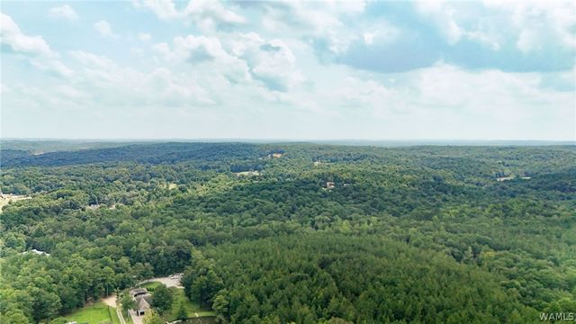 12699 Wood Estates, Northport, AL 35475