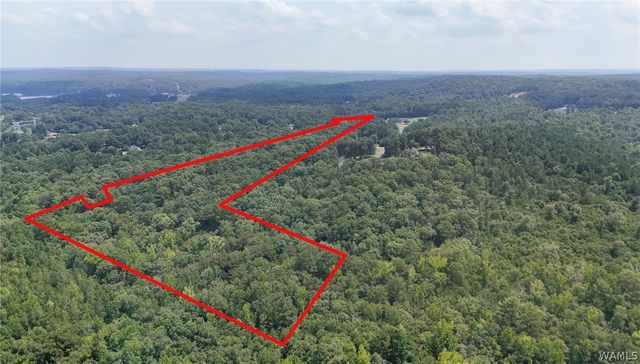 12699 Wood Estates, Northport, AL 35475