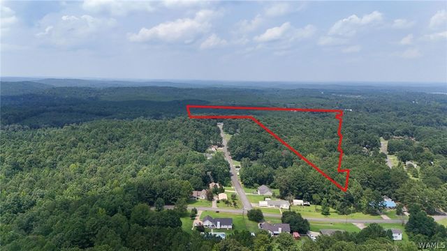 12699 Wood Estates, Northport, AL 35475