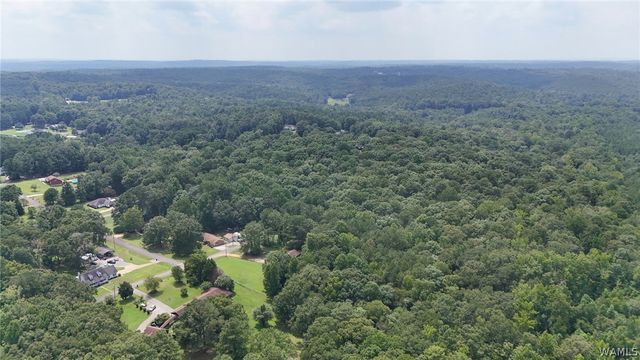12699 Wood Estates, Northport, AL 35475