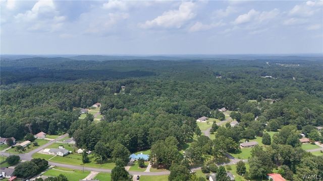 12699 Wood Estates, Northport, AL 35475