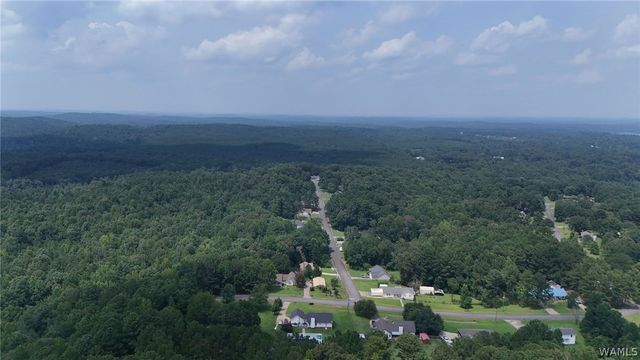 12699 Wood Estates, Northport, AL 35475