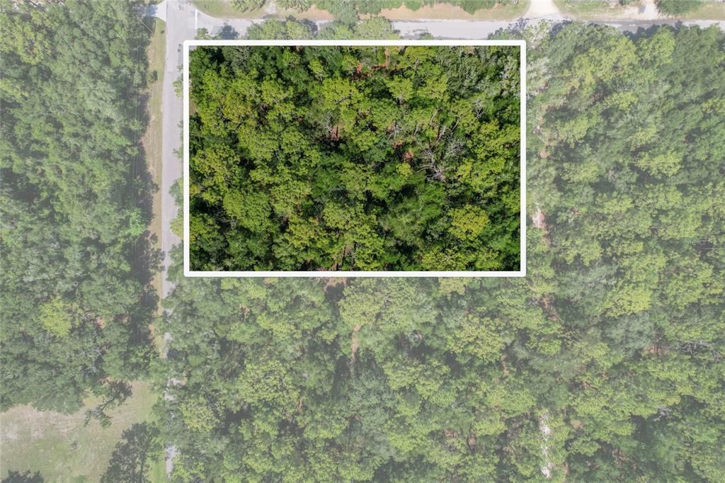 10049 N SUN CITY TERRACE, Dunnellon, FL 34433