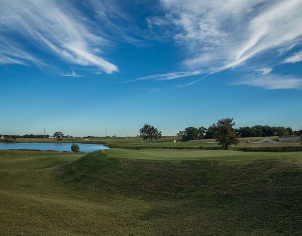 1065 Birdie Street, Gunter, TX 75058