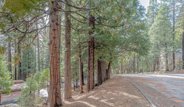 1002 Manuel Rd, Arnold, CA 95223