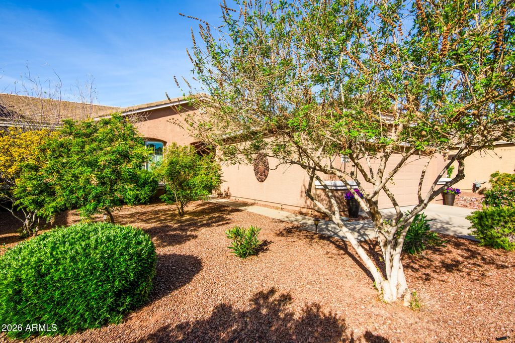 20598 N LEMON DROP Drive, Maricopa, AZ 85138 — photo 3