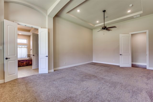 14192 Strawflowers Drive, Frisco, TX 75035