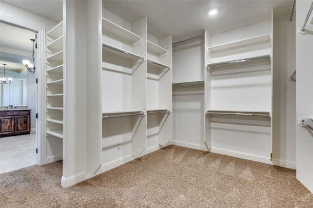 14192 Strawflowers Drive, Frisco, TX 75035