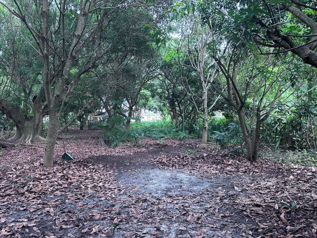 0000 NW 7th Court, Boynton Beach, FL 33426