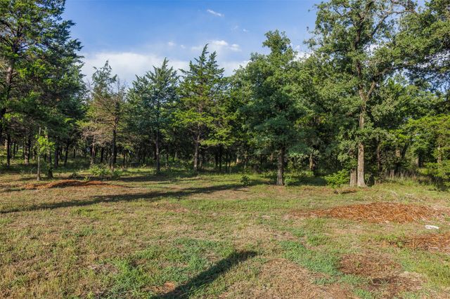 TBD Lincoln Lake RD, Paige, TX 78659