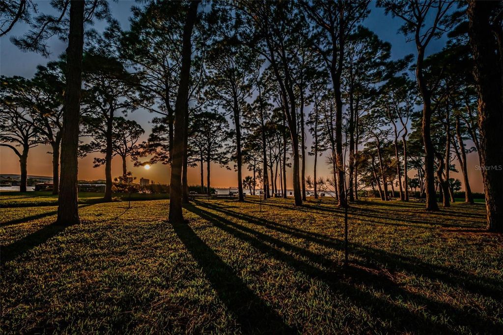 Image 39 of property listing at 2700 BAYSHORE BOULEVARD 2204, Dunedin, FL 34698