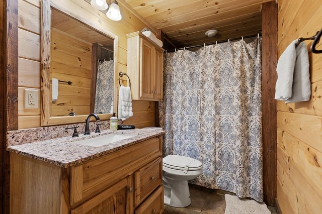 236 Logan Drive, Mineral Bluff, GA 30559