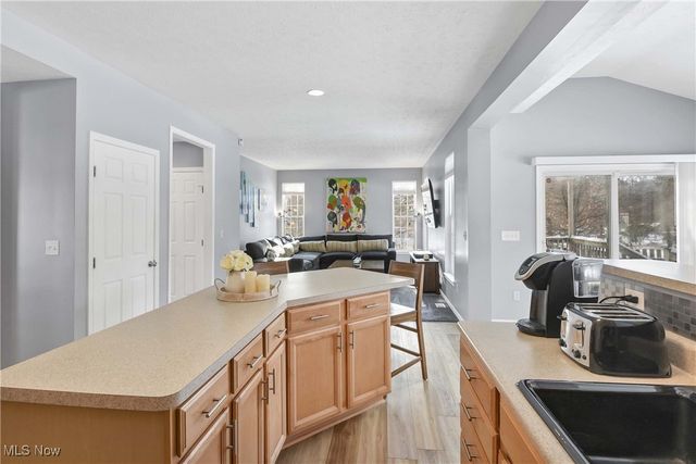 38698 Country Meadow Way, North Ridgeville, OH 44039