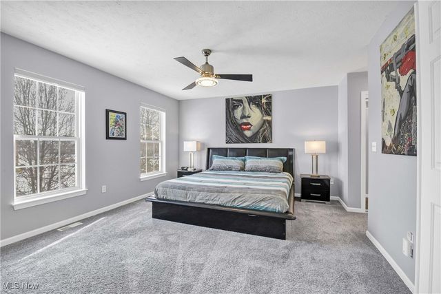 38698 Country Meadow Way, North Ridgeville, OH 44039