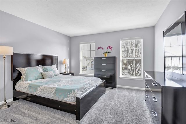 38698 Country Meadow Way, North Ridgeville, OH 44039