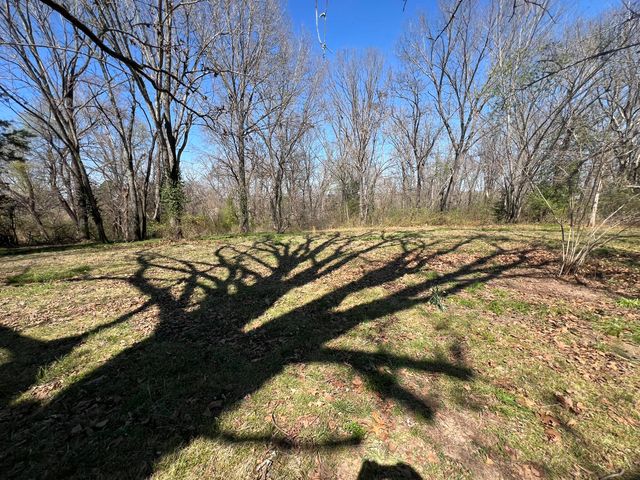 116 Clingan Avenue, Willow Springs, MO 65793