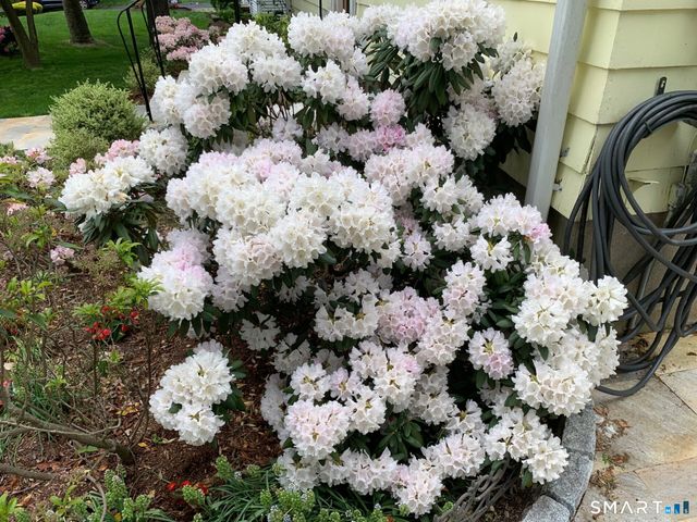 220 Hilltop Circle, Trumbull, CT 06611