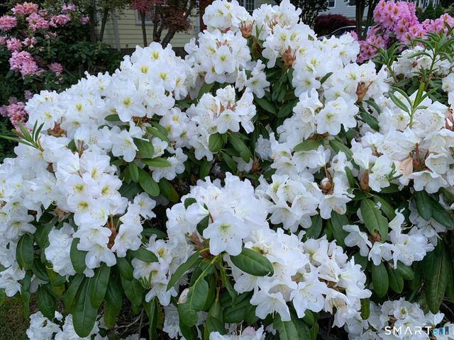 220 Hilltop Circle, Trumbull, CT 06611