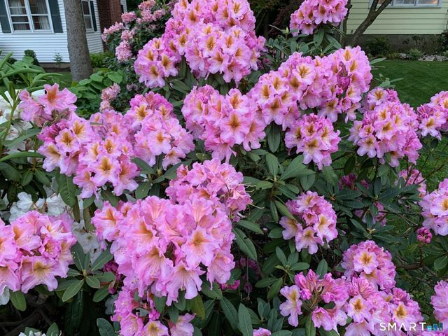 220 Hilltop Circle, Trumbull, CT 06611