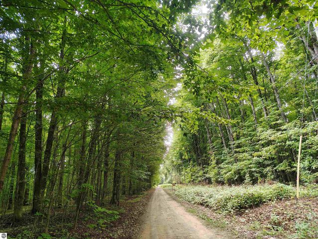 8761 Partridge Lane, Mancelona, MI 49659