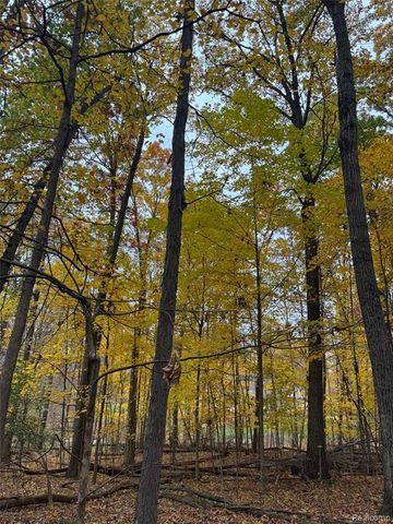 9776 Harbor Trail Drive, Whitmore Lake, MI 48189