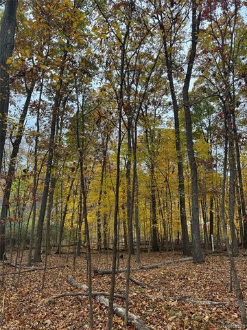 9776 Harbor Trail Drive, Whitmore Lake, MI 48189