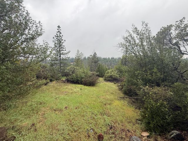 485 Manzanita Trl, Georgetown, CA 95634