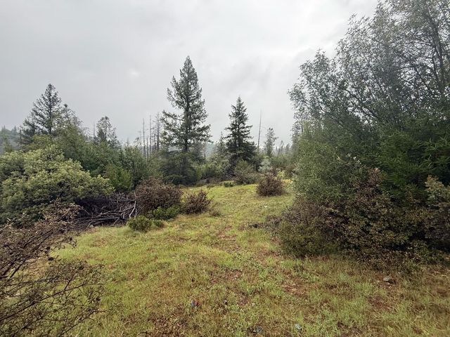 485 Manzanita Trl, Georgetown, CA 95634