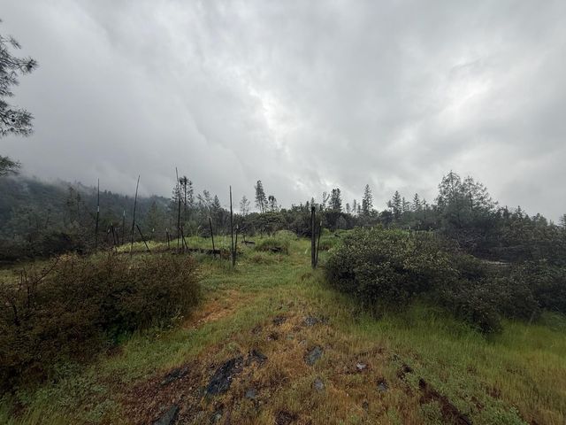 485 Manzanita Trl, Georgetown, CA 95634