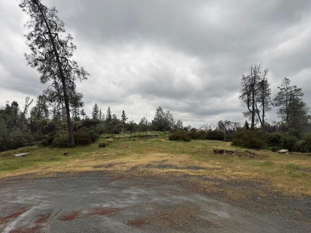 485 Manzanita Trl, Georgetown, CA 95634