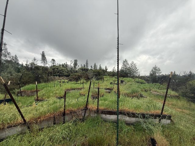 485 Manzanita Trl, Georgetown, CA 95634