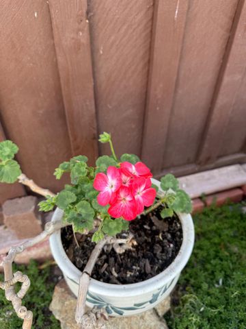 2125 Gutherie St, Modesto, CA 95358