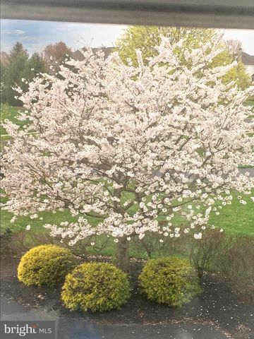 2062 SILVERWOOD DR, Newtown, PA 18940