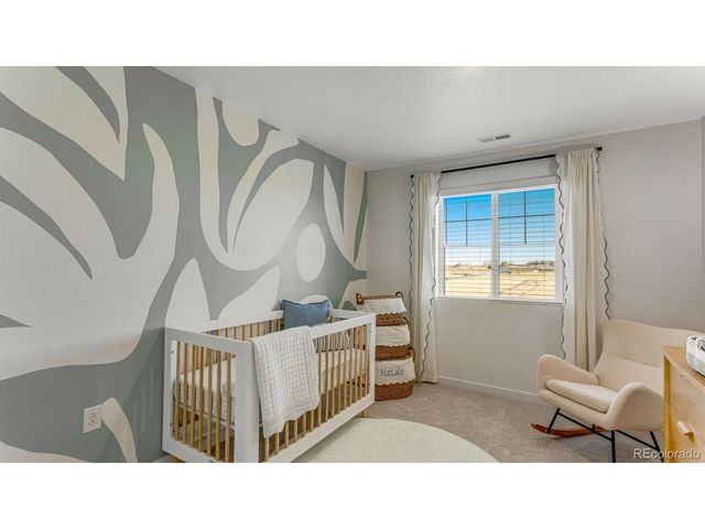 395 N Amory St, Watkins, CO 80137