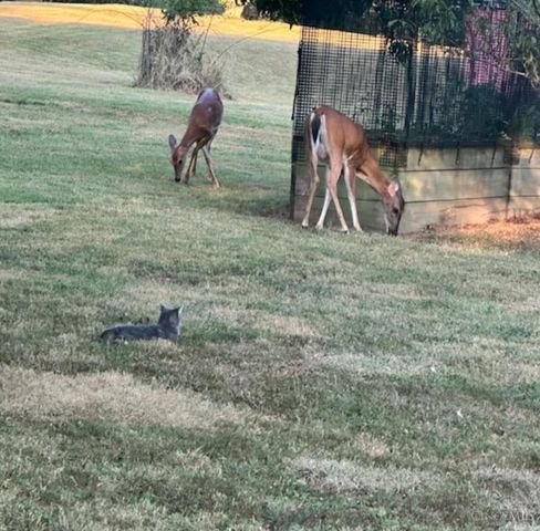 2673 St Rt 132, Ohio Twp, OH 45157