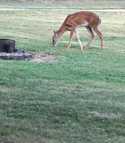 2673 St Rt 132, Ohio Twp, OH 45157