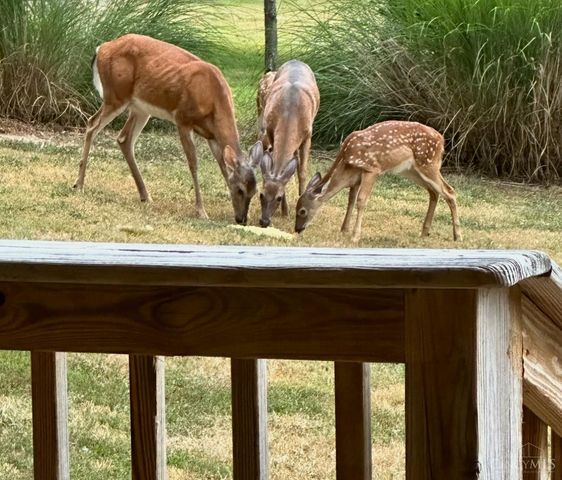 2673 St Rt 132, Ohio Twp, OH 45157