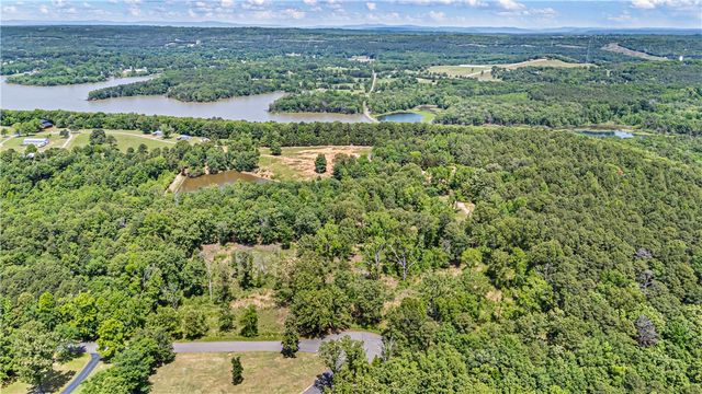 Lot 13 & Lot 14 Galaxy Lane, London, AR 72847