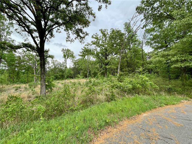 Lot 13 & Lot 14 Galaxy Lane, London, AR 72847