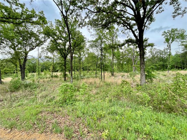 Lot 13 & Lot 14 Galaxy Lane, London, AR 72847