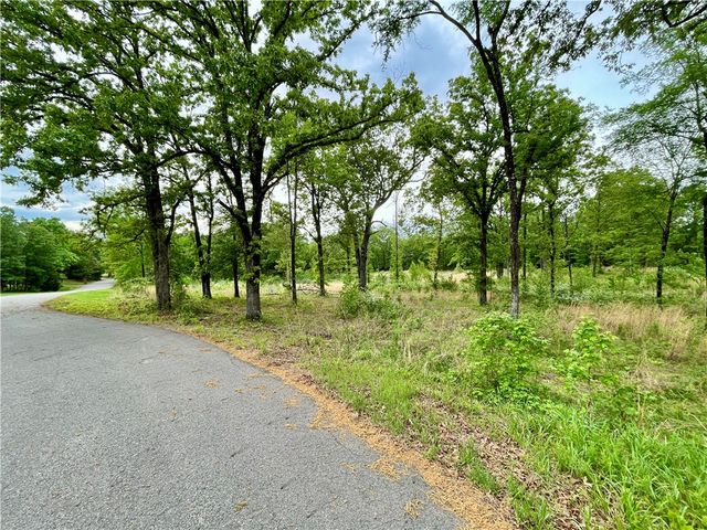 Lot 13 & Lot 14 Galaxy Lane, London, AR 72847