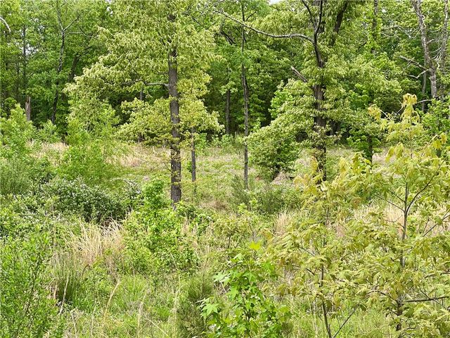 Lot 13 & Lot 14 Galaxy Lane, London, AR 72847