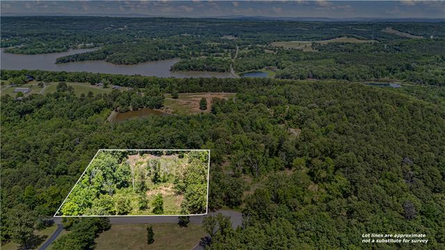 Lot 13 & Lot 14 Galaxy Lane, London, AR 72847