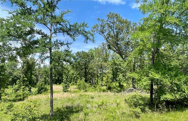 Lot 13 & Lot 14 Galaxy Lane, London, AR 72847