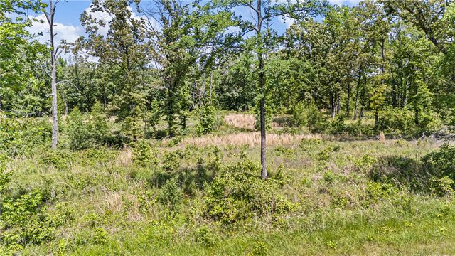 Lot 13 & Lot 14 Galaxy Lane, London, AR 72847